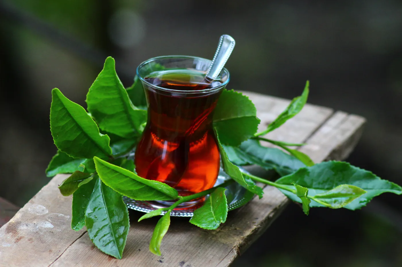 Çay ve Bitki Çayları